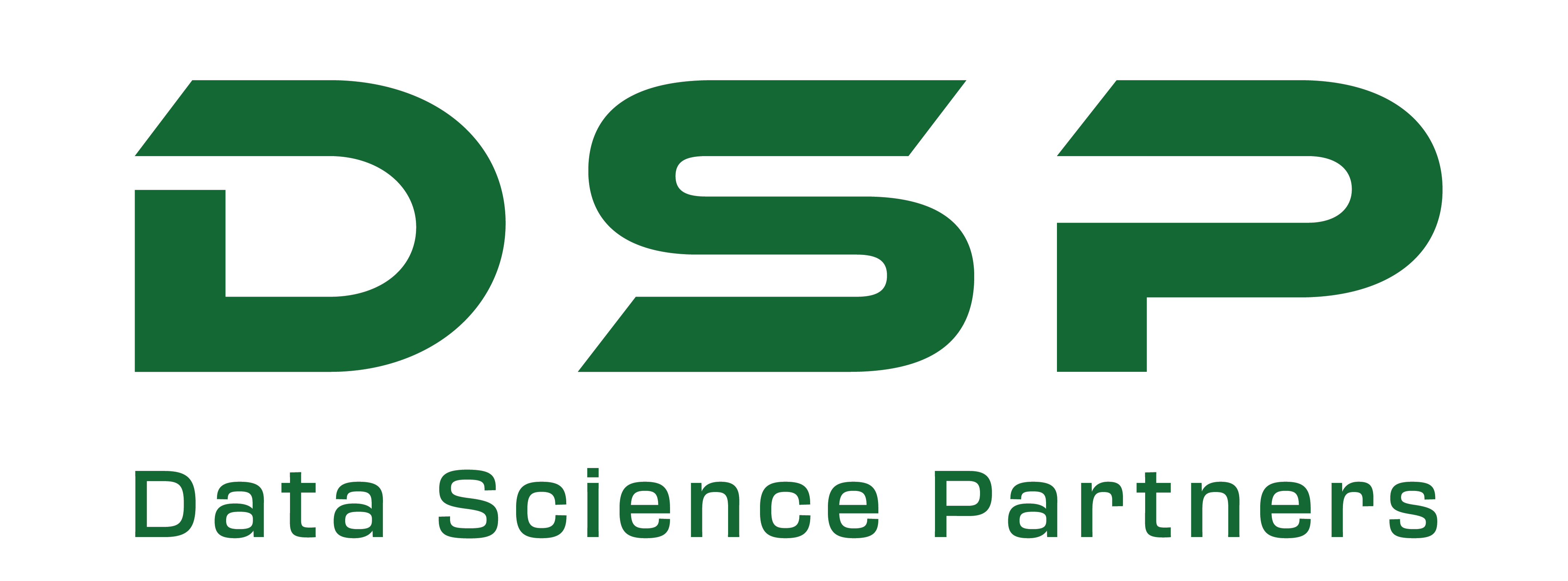 Data Science Partners Company Logo